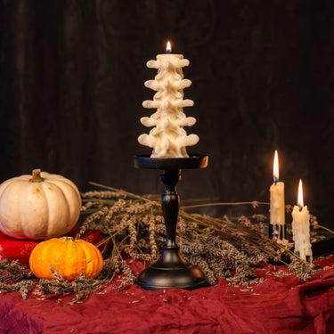 Halloween Gift Box Limited Edition by The Blackened Teeth Gothic Home Decor
