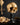 Aureate gold skull replica plinth - The Blackened Teeth