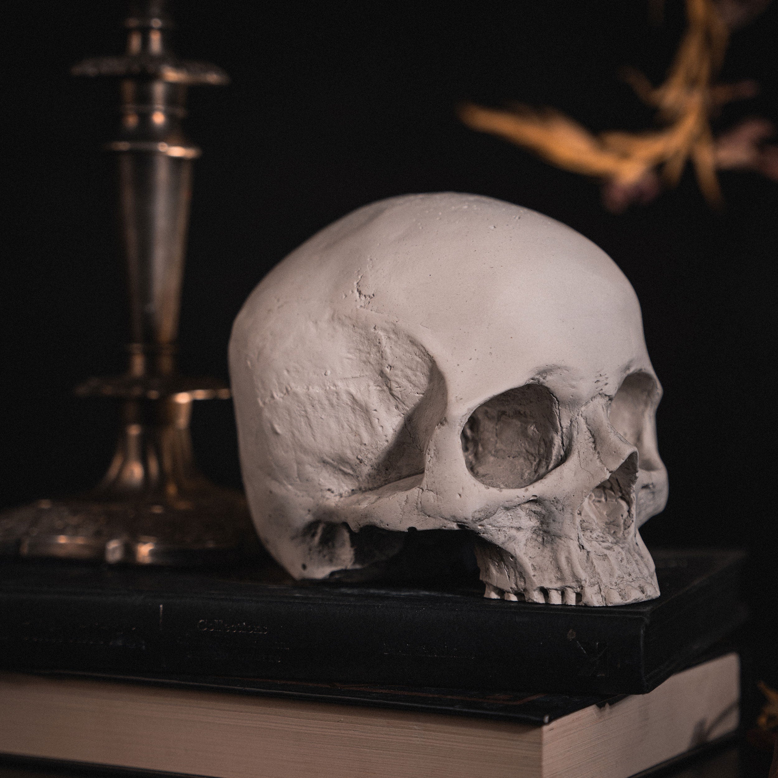 skull of j.doe skull ornament - the blackened teeth - gothic home decor 