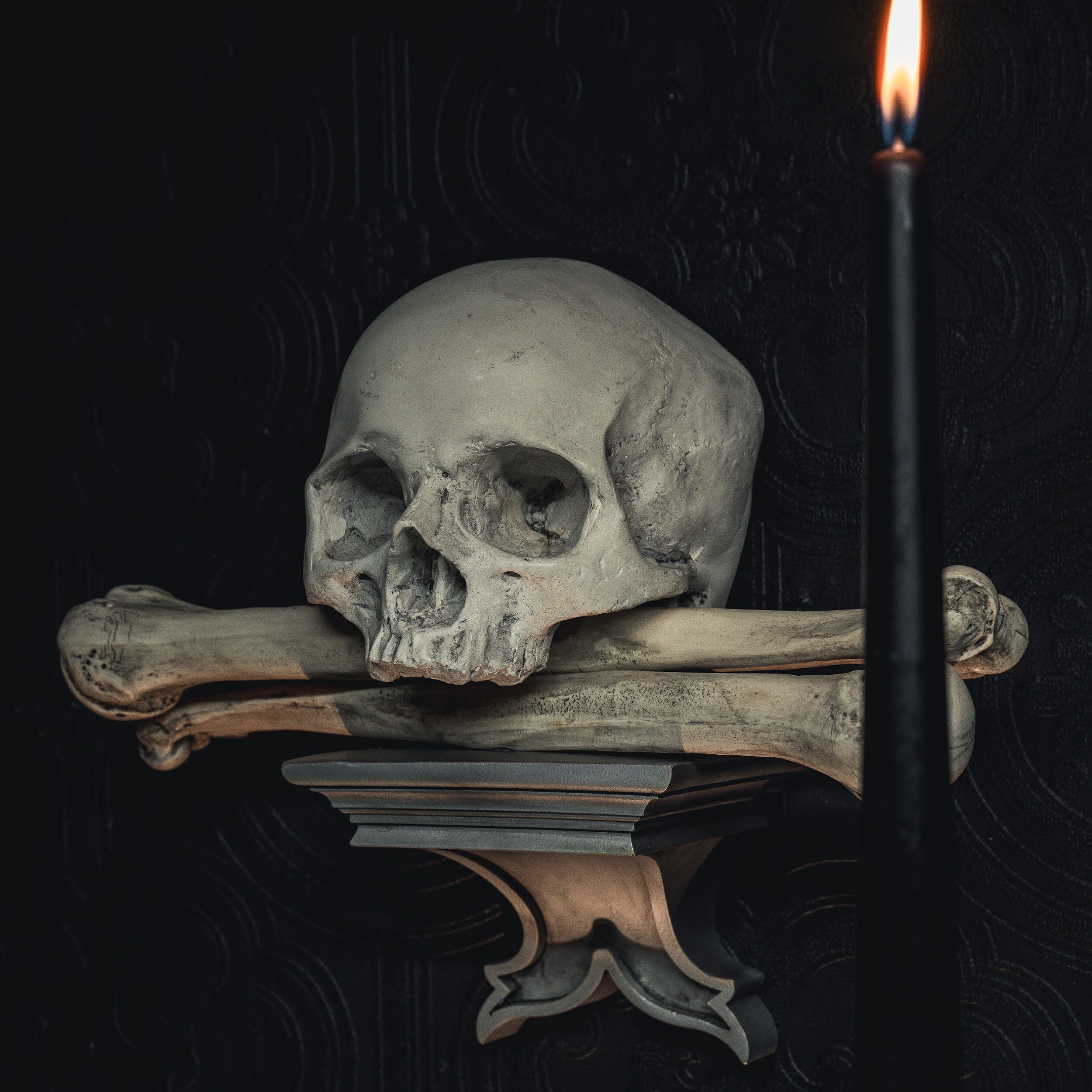 ossuary skull corbel the blackened teeth gothic home decor