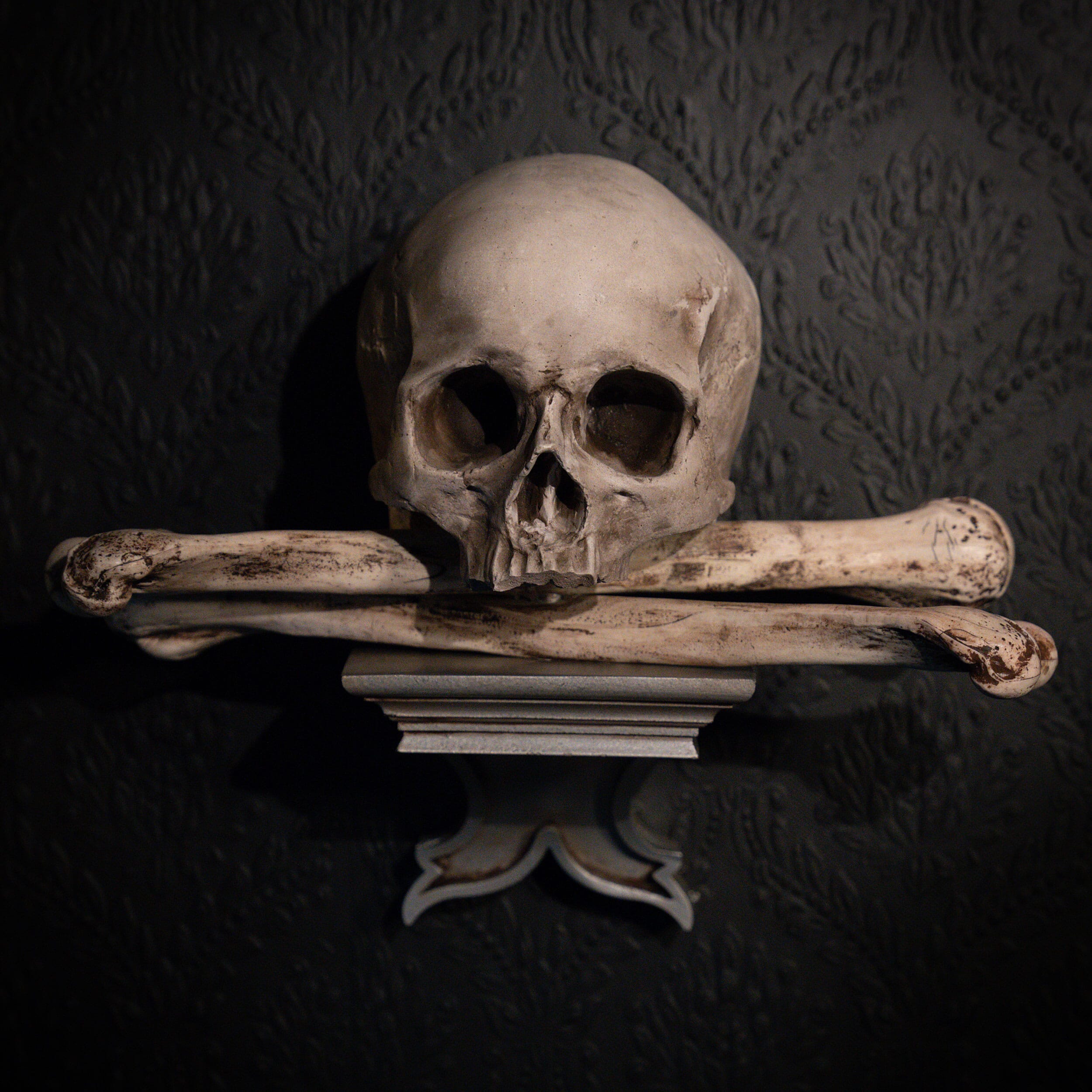 Ossuary Skull Corbel – The Blackened Teeth Ltd - Main Image