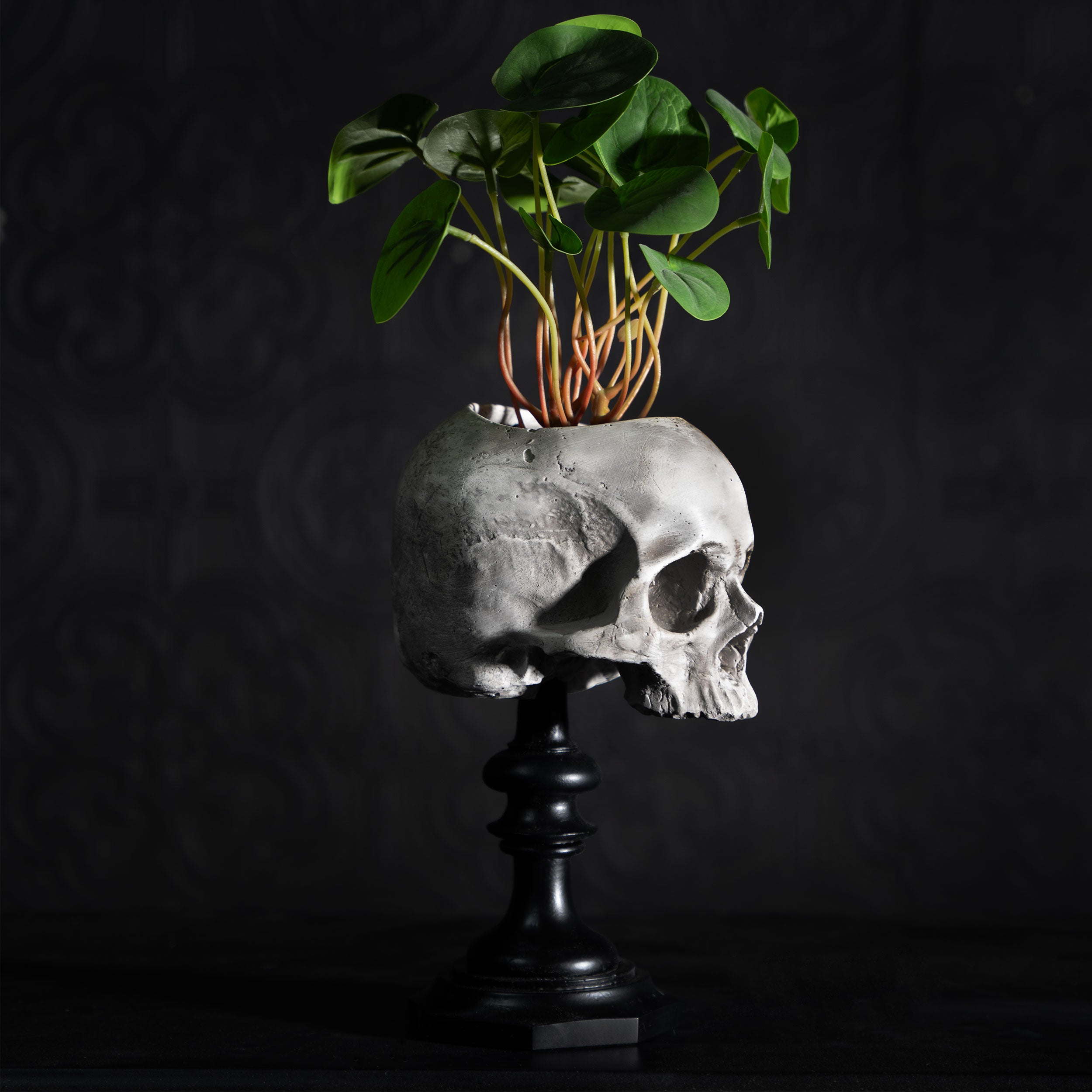 skull of j.doe pot plinth skull replica