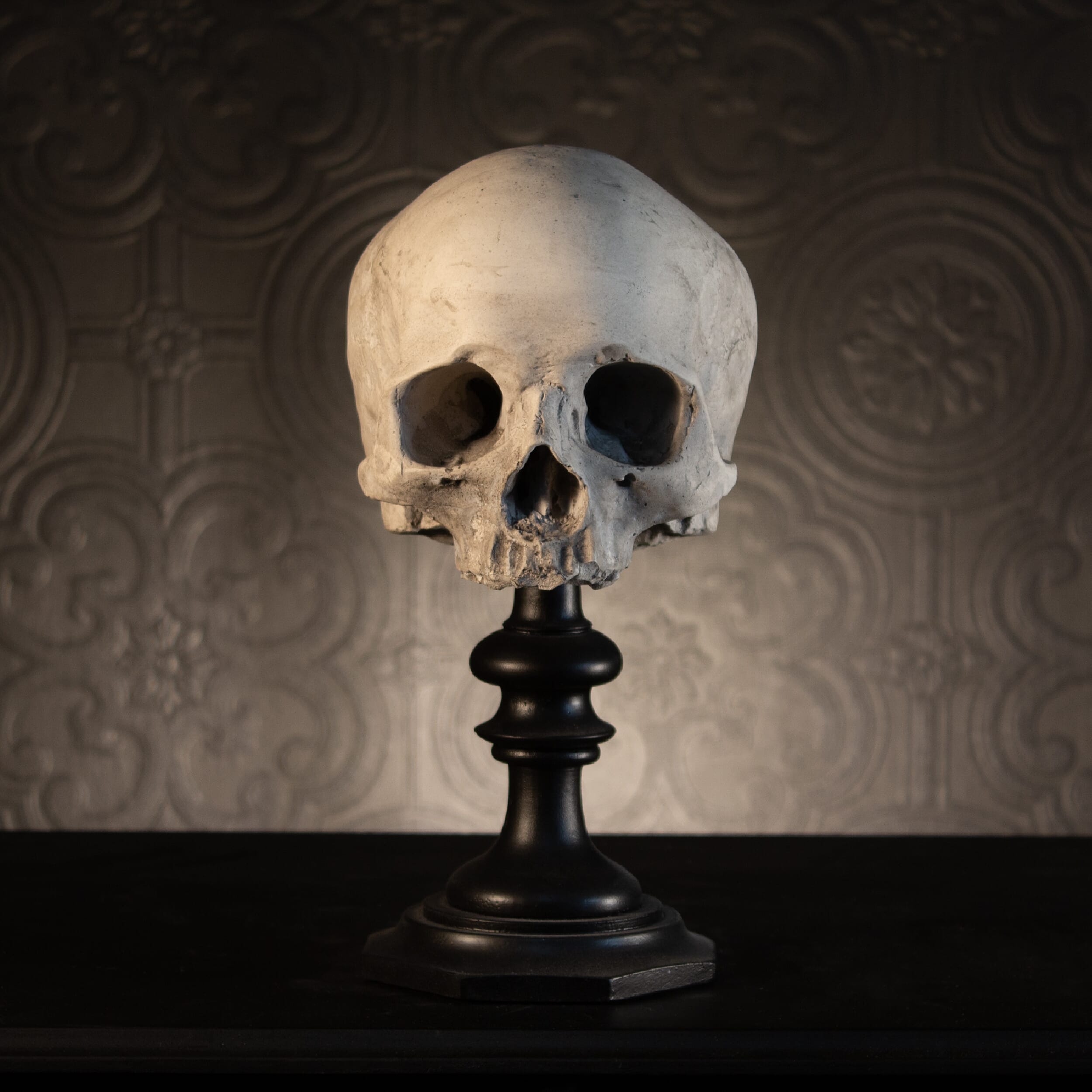 Skull of J.Doe replica plinth - The Blackened Teeth - Gothic home decor