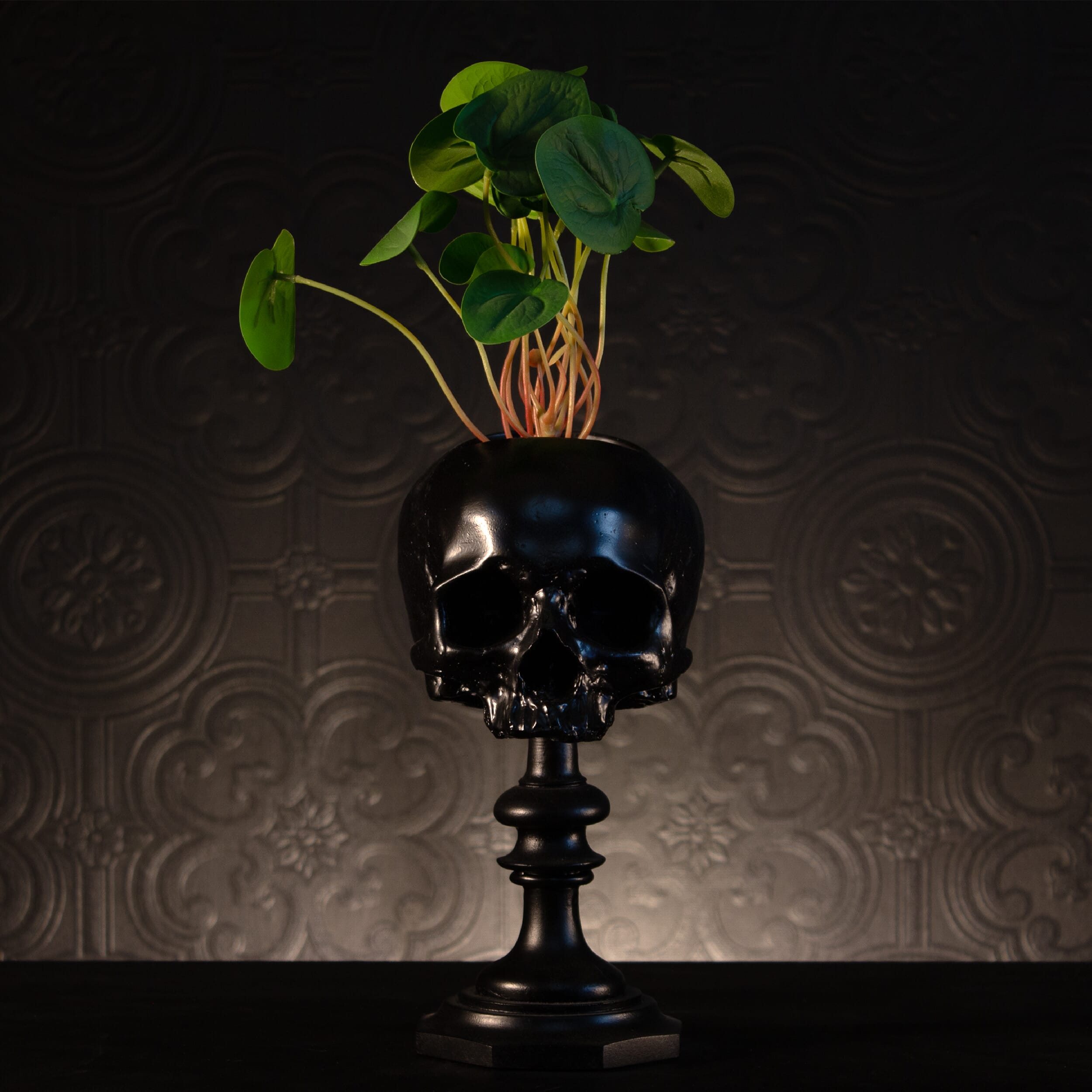 Human skull pot - Black - The Blackened teeth - Gothic decor