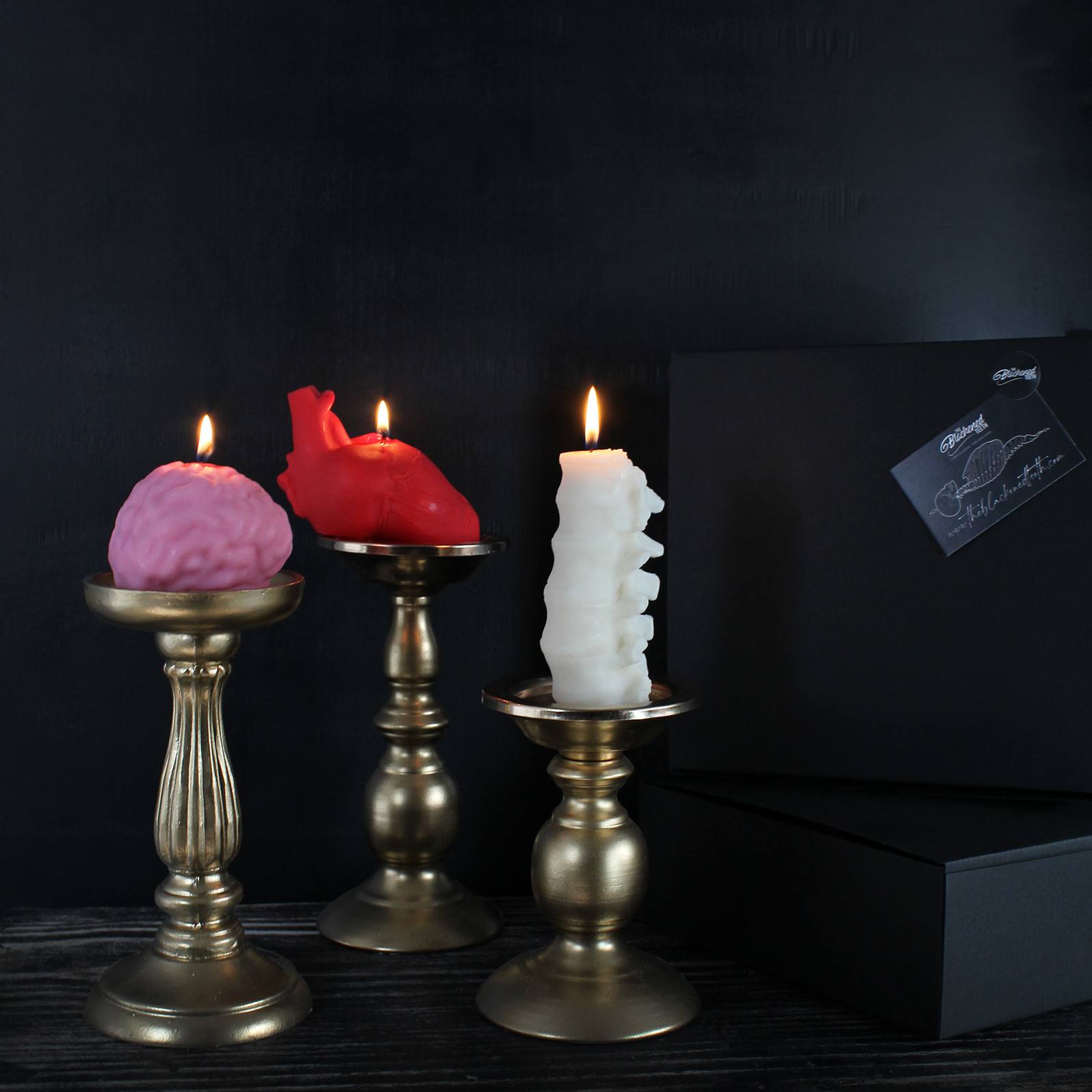 Anatomy Candles - Gift Box