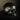 Skull of Jane Doe Ornament - Black