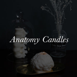 Anatomy Candles