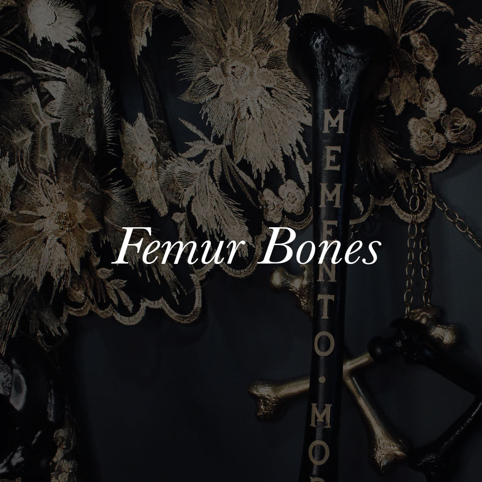 Femur Bones