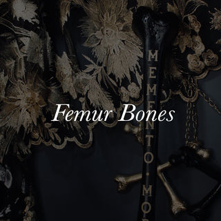 Femur Bones