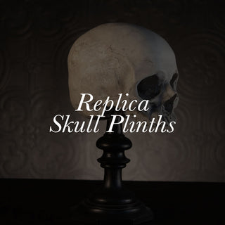 Replica Skull Plinths