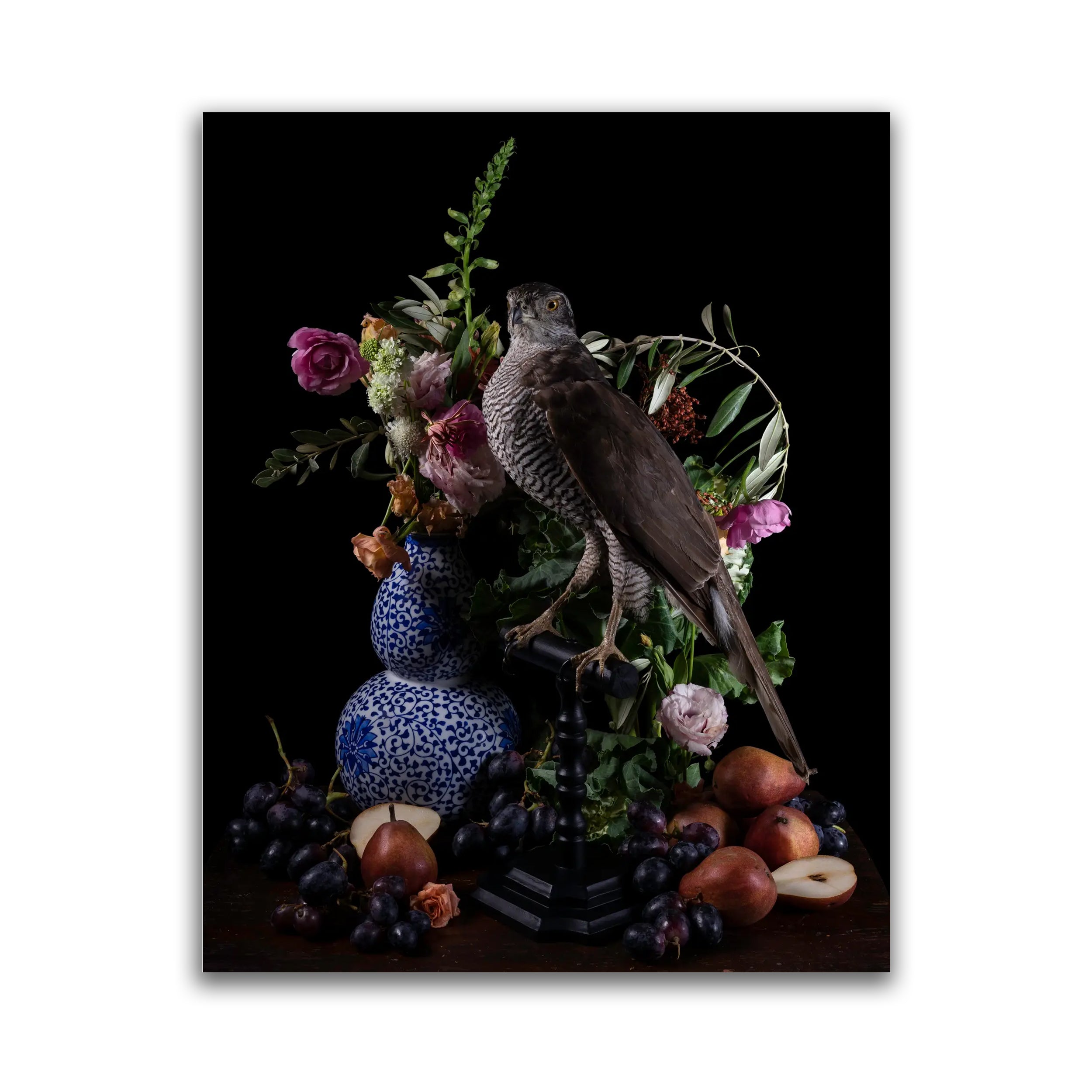 Immortalis Limited edition photograpghy art print - The Blackened Teeth 