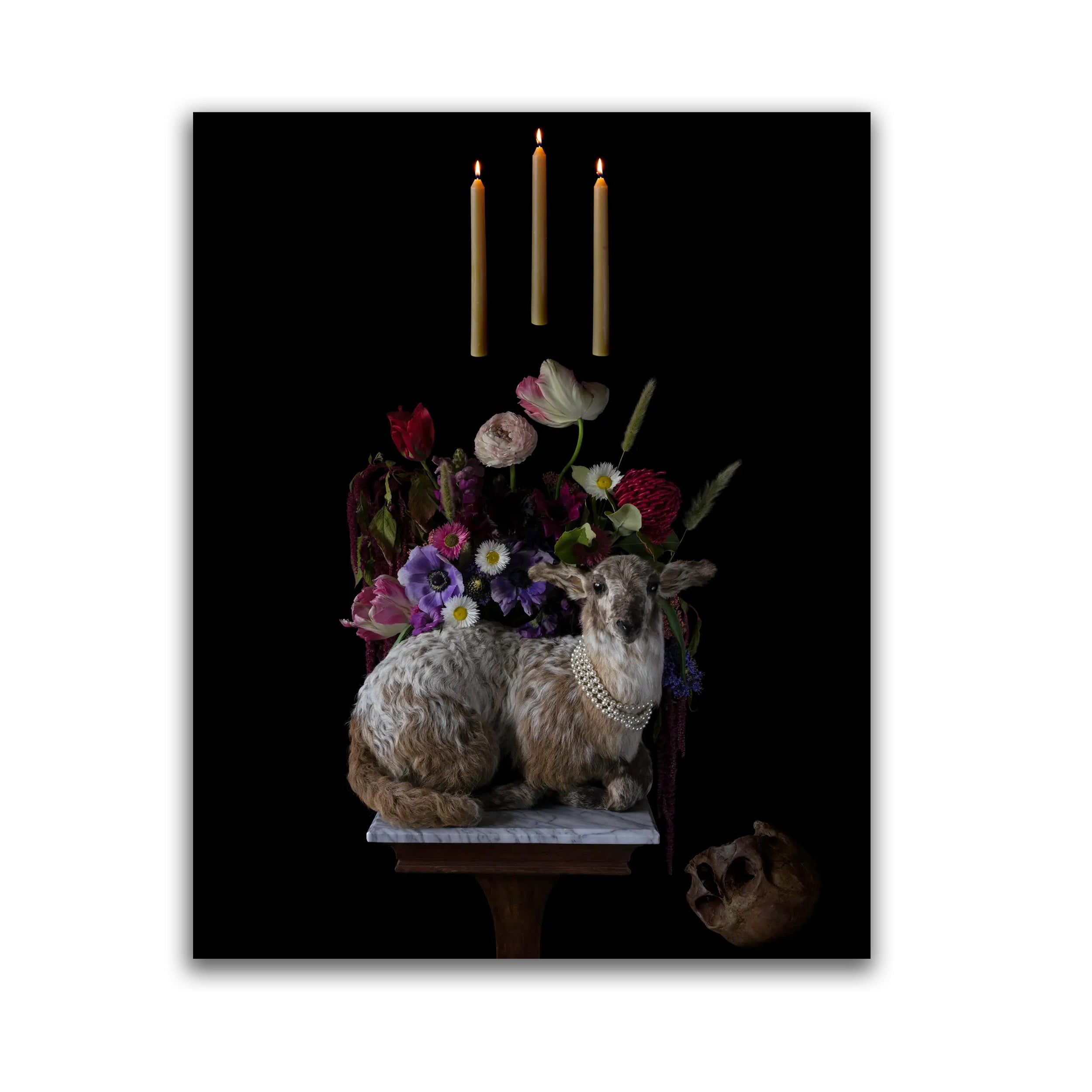 Vernum Tempus - Limited Edition Fine Art Photography Print 