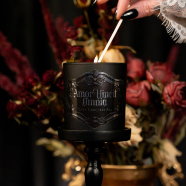 amor vincit omnia gothic jar candle the blackened teeth gothic home fragrance