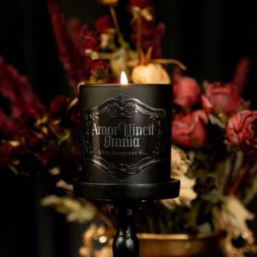 amor vincit omnia gothic jar candle the blackened teeth gothic home fragrance
