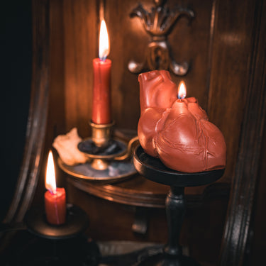 Anatomical Heart Candle