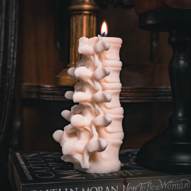 Anatomy Candles Gift Box
