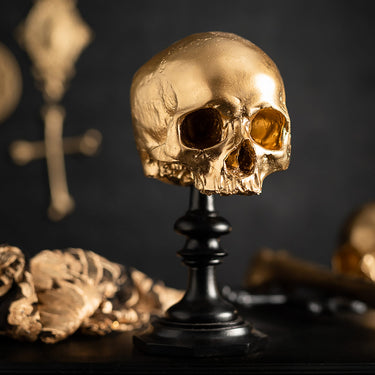 Aureate gold skull replica plinth - The Blackened Teeth