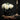 Cordelia Flowerhead by The Blackened Teeth Ltd gothic home decor