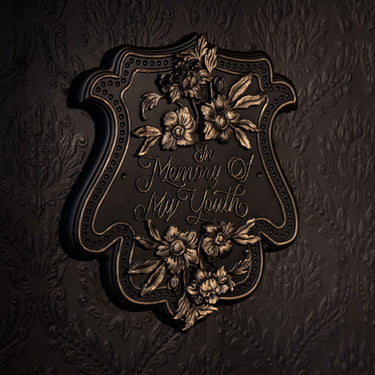 In Memory of My Youth Plaque by The Blackened Teeth Ltd