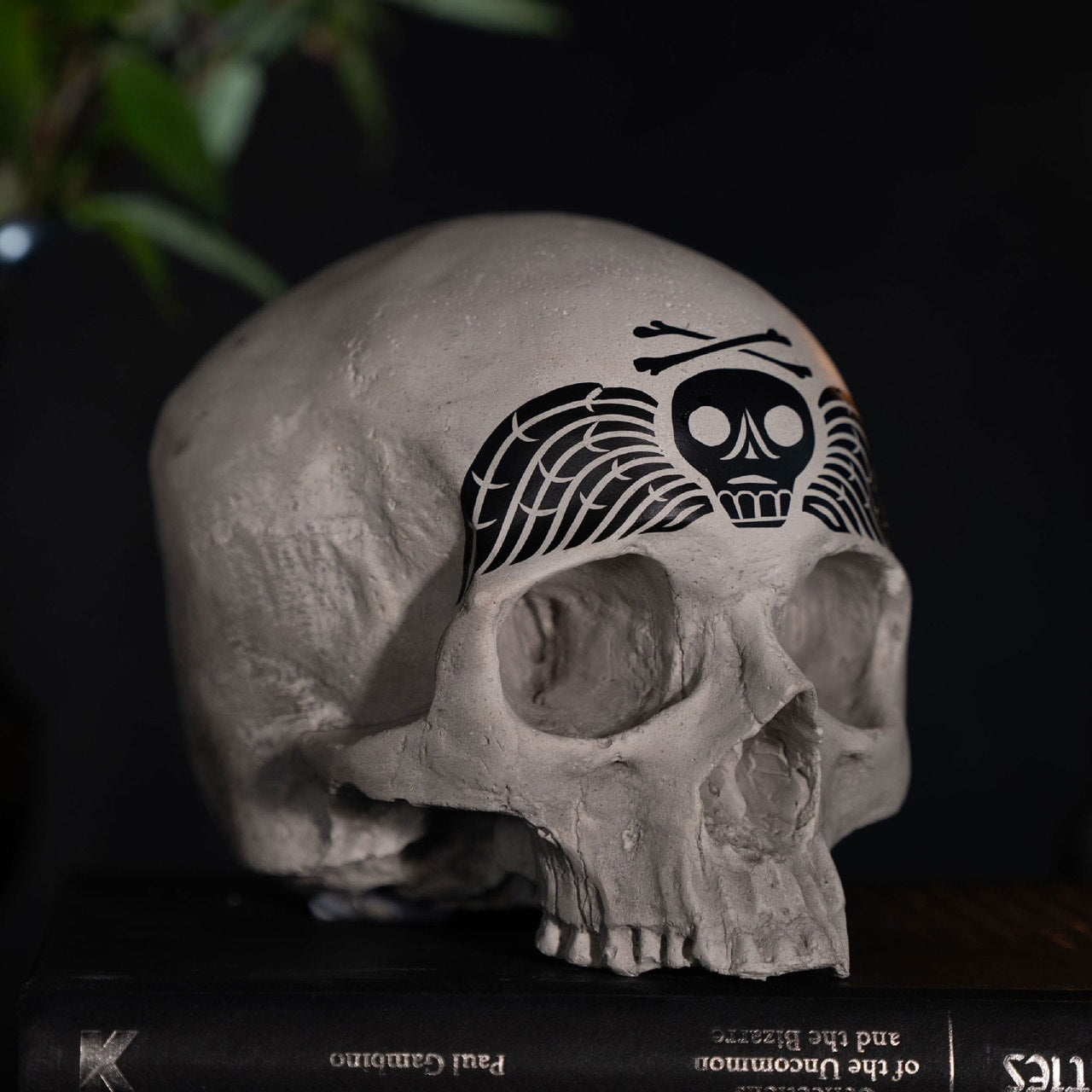 Skull of j doe memento more winged skull ornament by the blackened teeth gothic home decor 