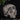 Skull of j doe memento more winged skull ornament by the blackened teeth gothic home decor 