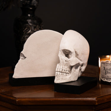 Skull Bookends