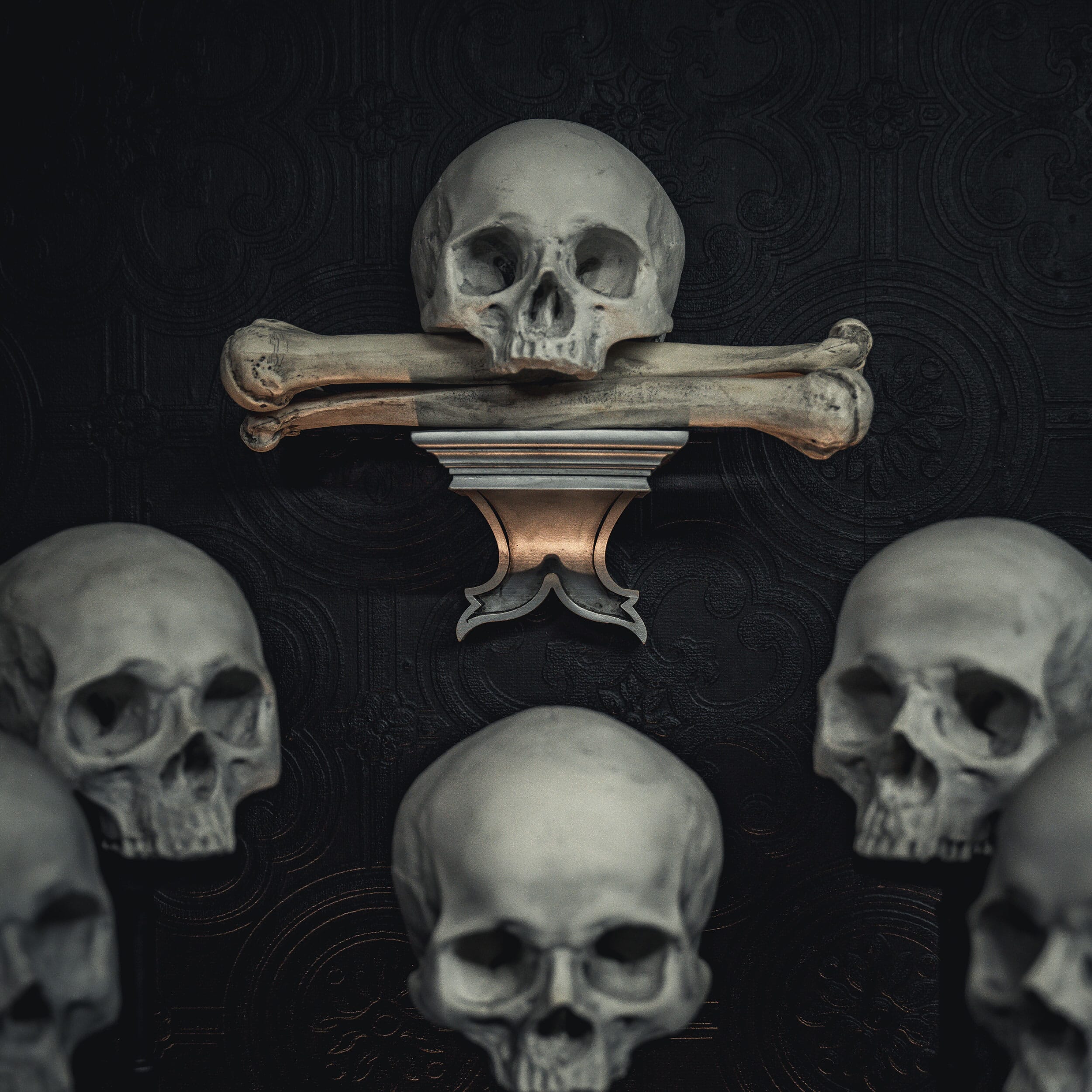 ossuary skull corbel the blackened teeth gothic home decor