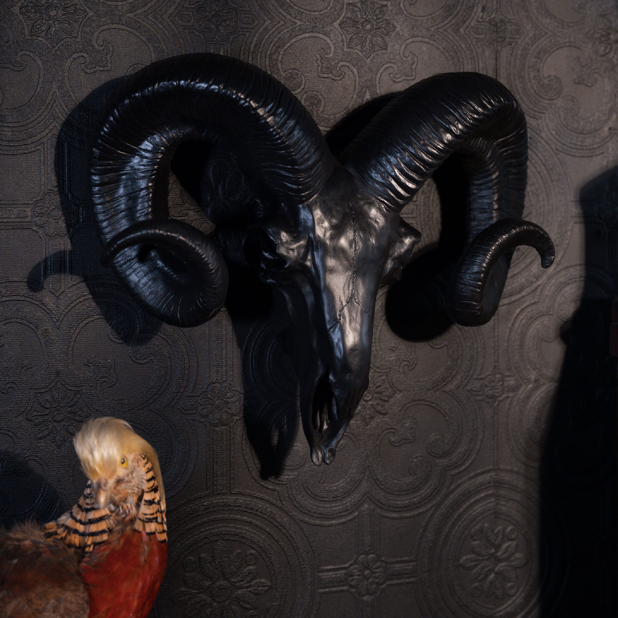 Black ram skull wall hanging by The Blackened Teeth Ltd 