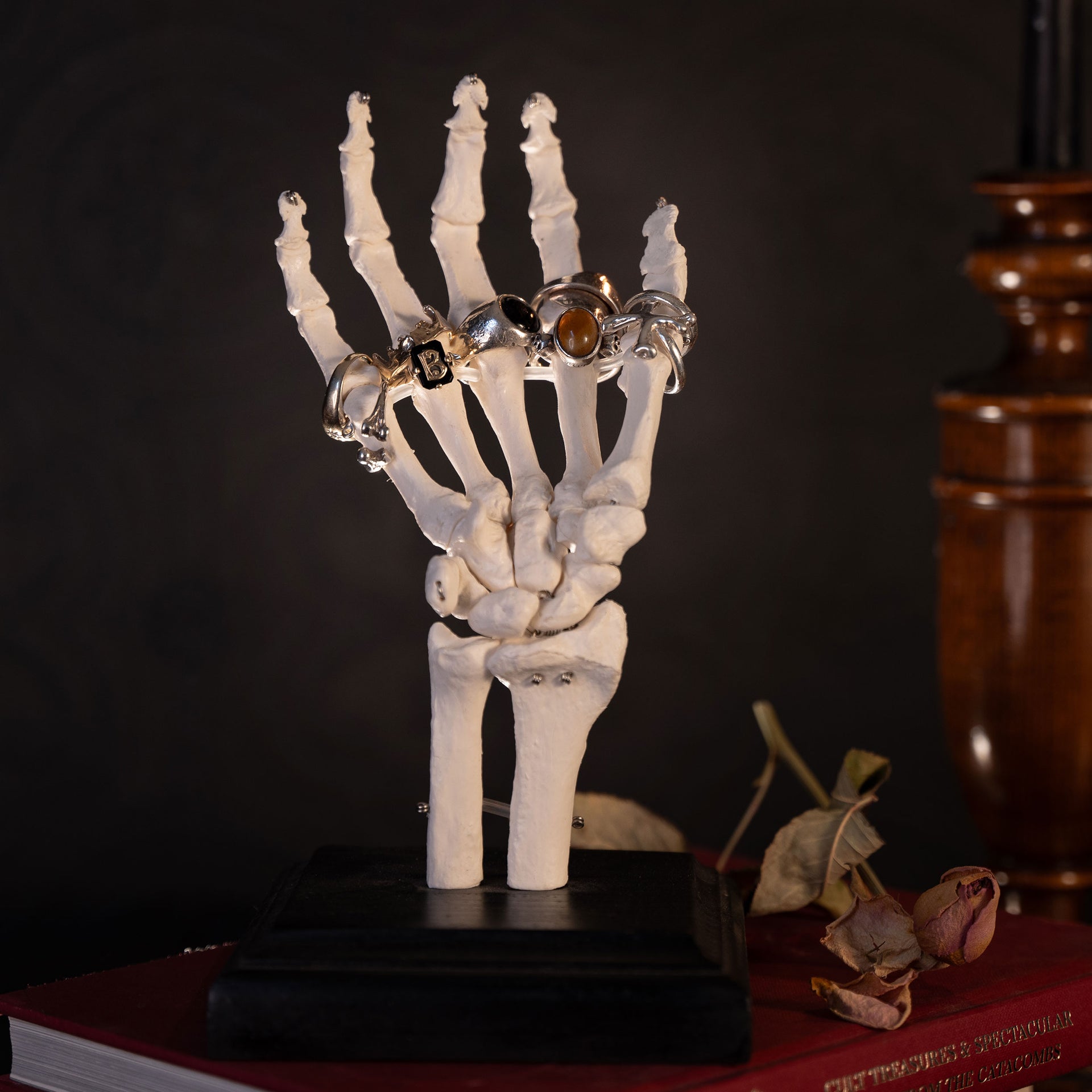 Skeleton Hand Jewellery Stand Black Wood