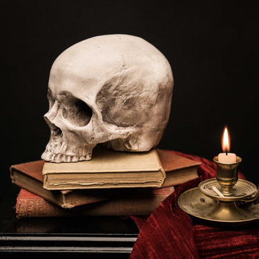 Skull of Jane Doe Ornament - Natural