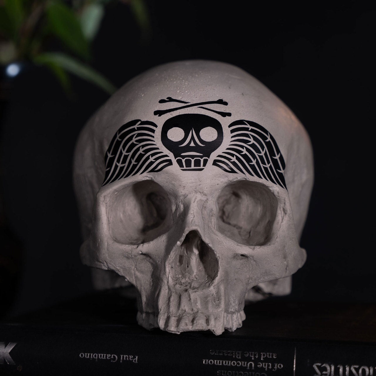 Skull of j doe memento more winged skull ornament by the blackened teeth gothic home decor 