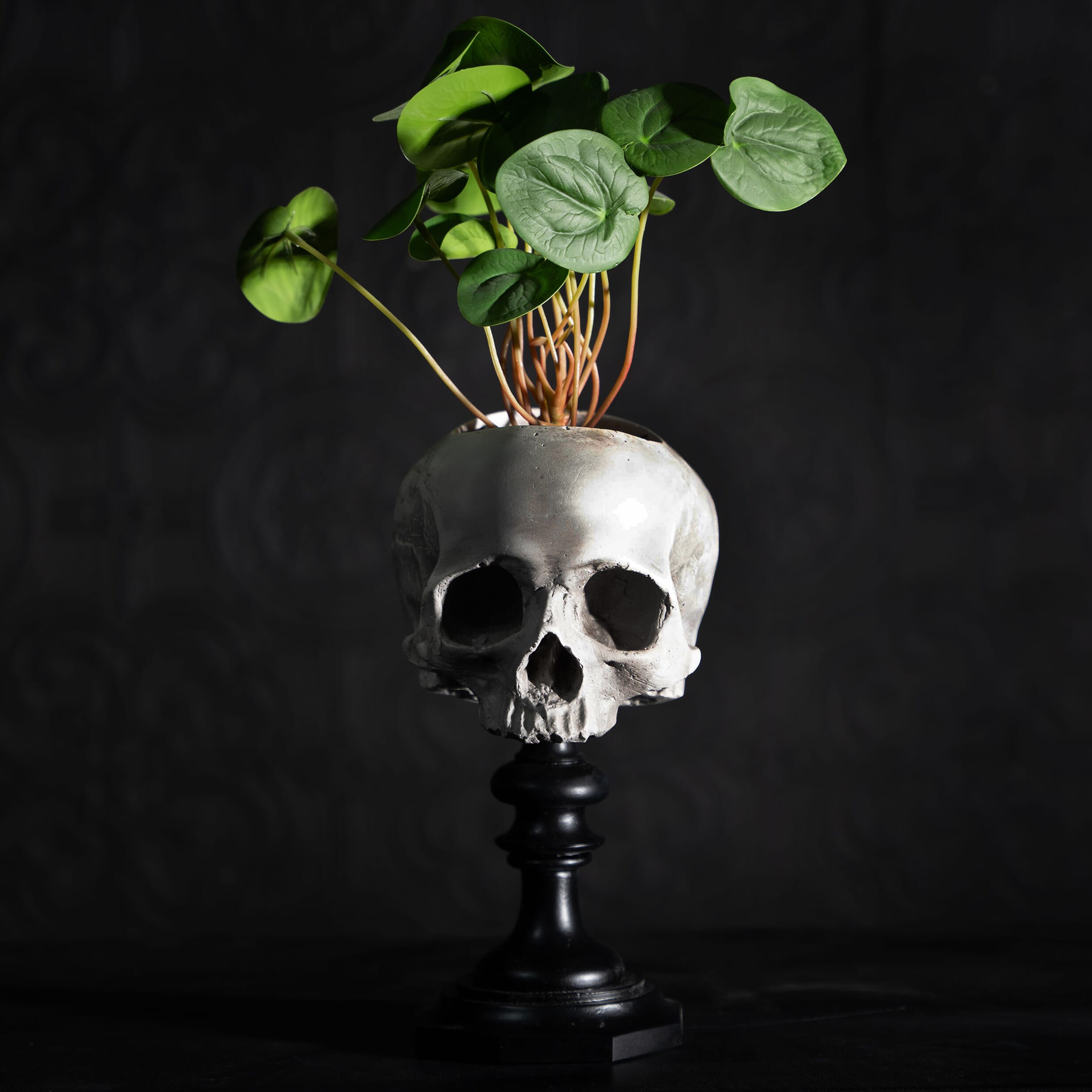 Skull of j.doe pot plinth ornament