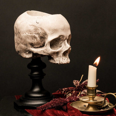 Skull of Jane Doe Plinth - Pot Version