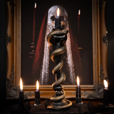 Solomon Snake Femur Candlestick Holder