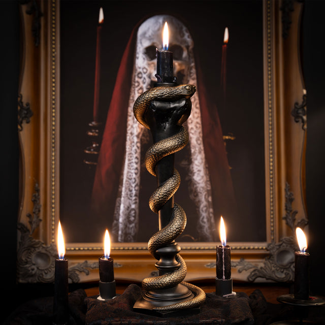 Solomon Snake Femur Candlestick Holder – The Blackened Teeth Ltd