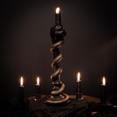 Solomon Snake Femur Candlestick Holder