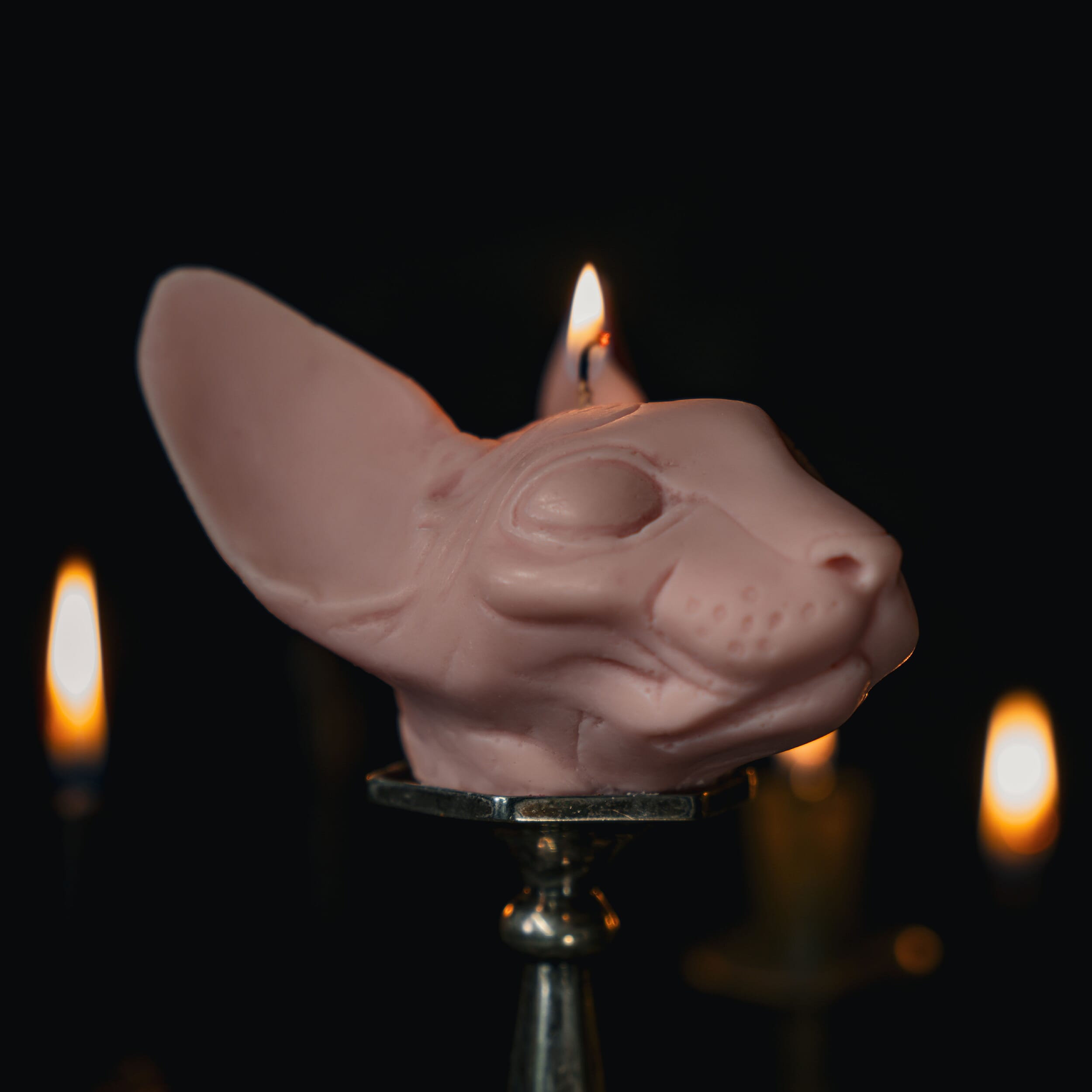 Sphynx Cat candle - The Blackened Teeth - Gothic home decor