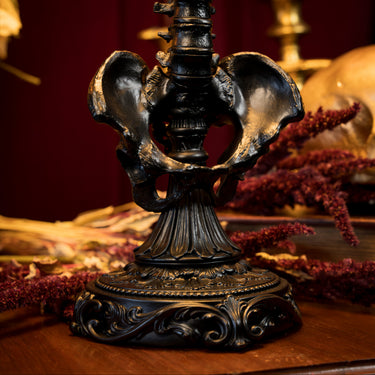 An ornate black metal gothic table lamp base shaped like pelvic bones, displayed on a wooden surface with dried red flowers and a dark red background. spine lamp gothic romantic 