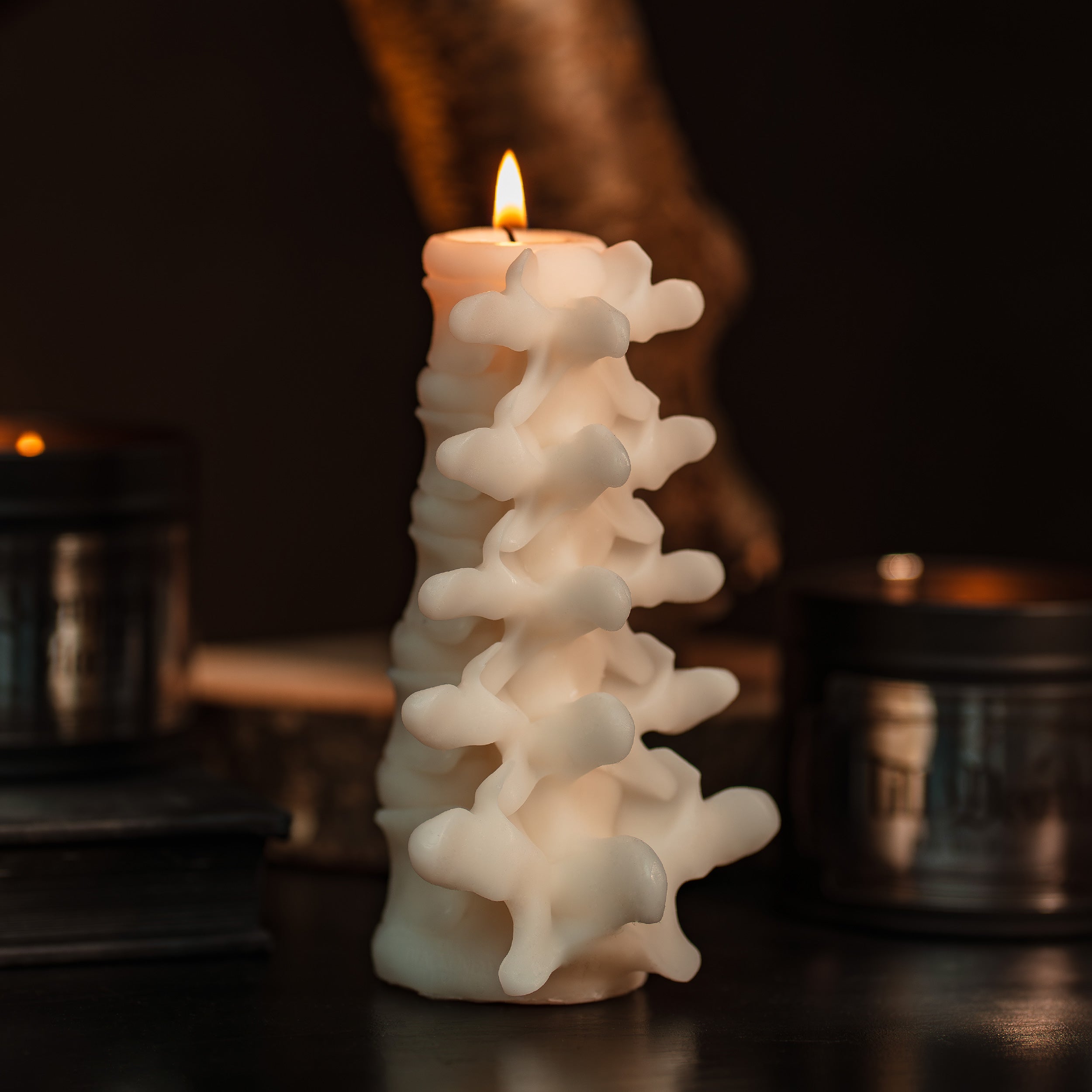 Realistic Anatomic Heart Candle