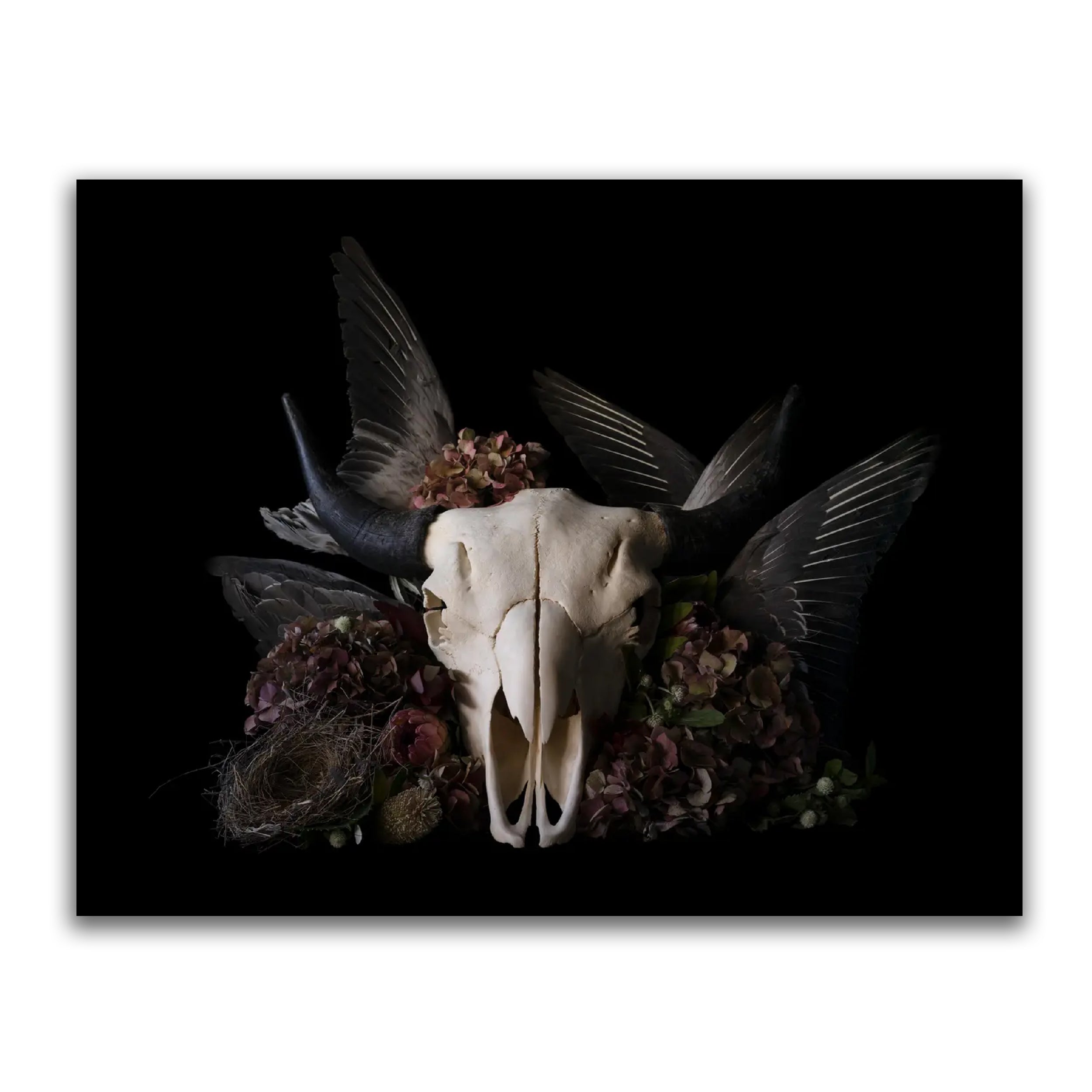 Untitled - 72 - Limited Edition fine art photography print - The Blackened Teeth 