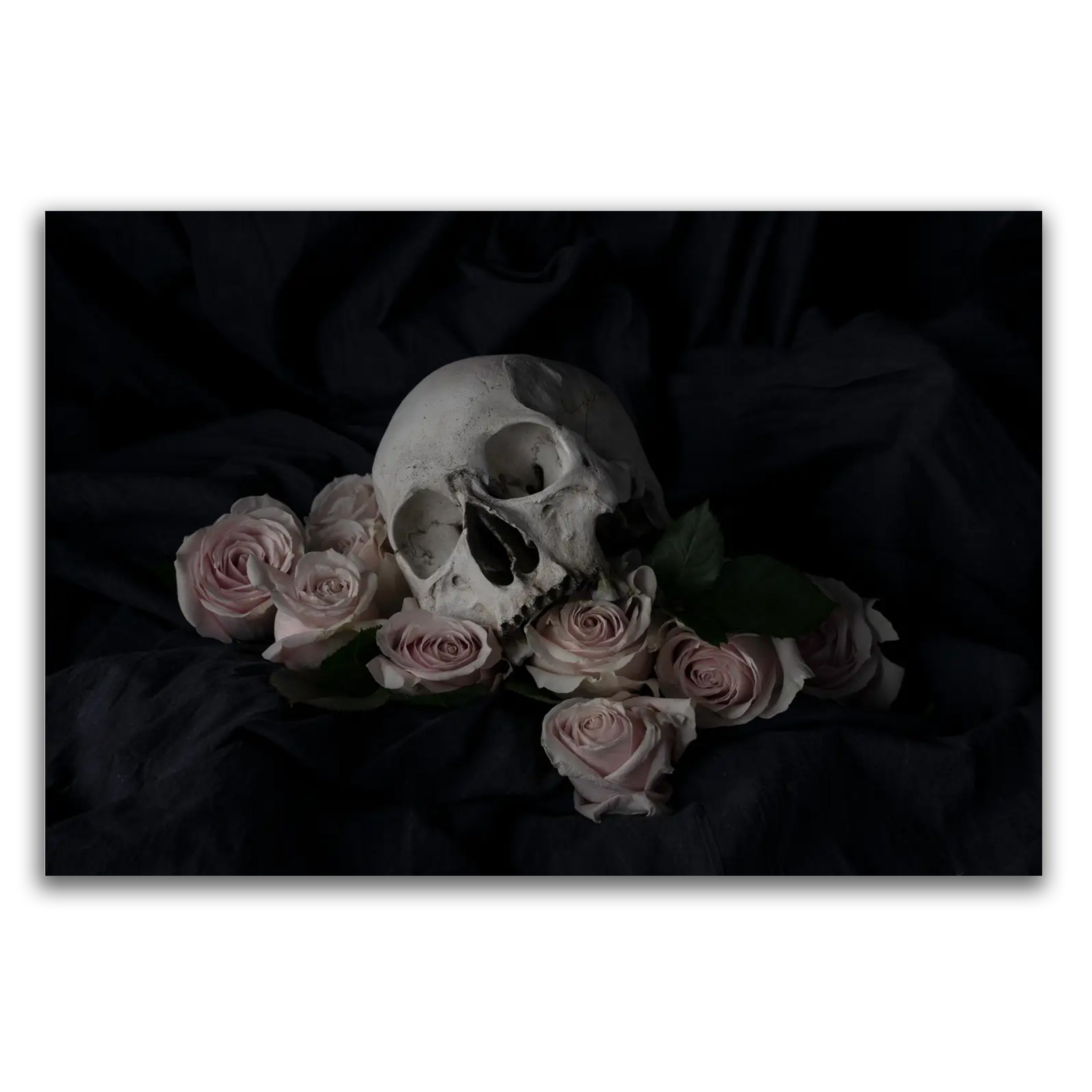 Aceocian - Limited Edition Fine Art Print - The Blackened Teeth 