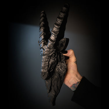Hand holding a dark-colored  black goat with large horns against a black background