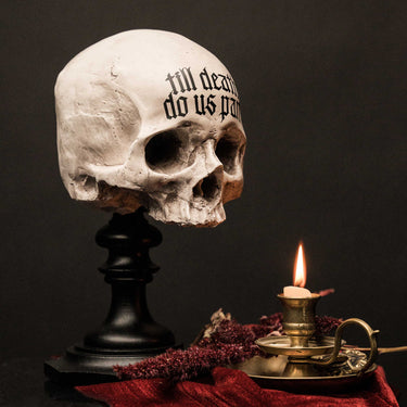 Till Death Skull Plinth - Natural