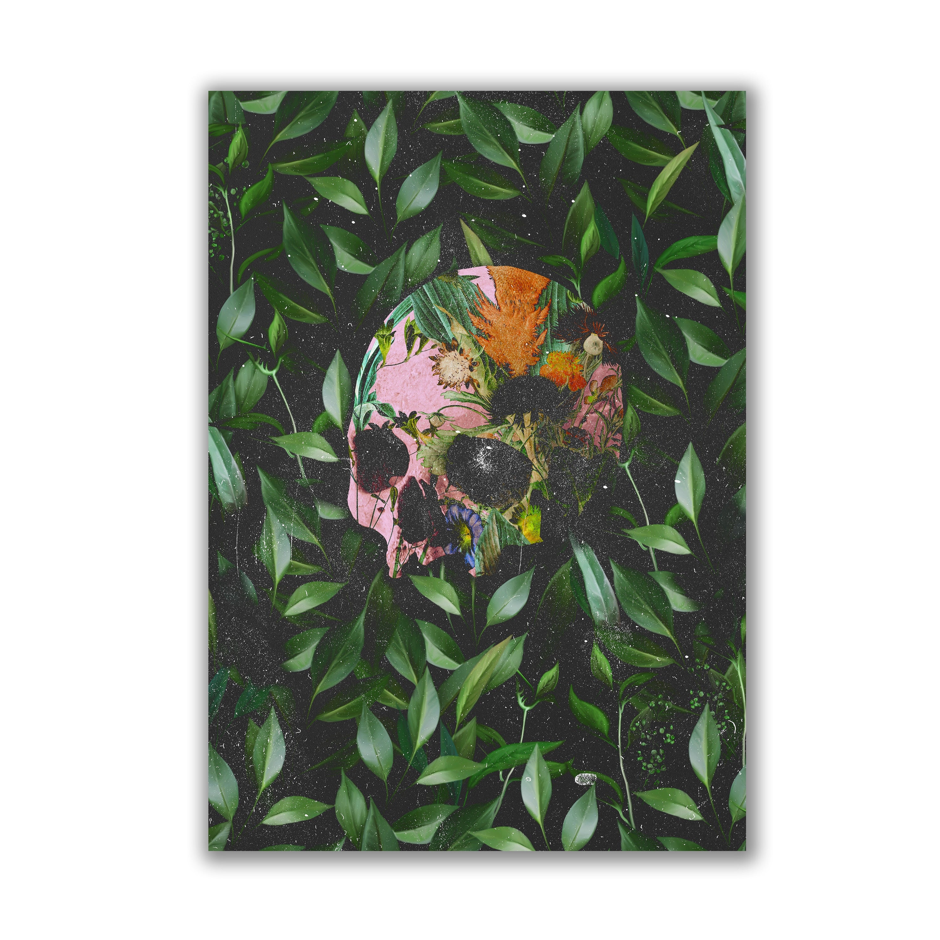 Wild Botanical Skull Print By The Blackened Teeth
