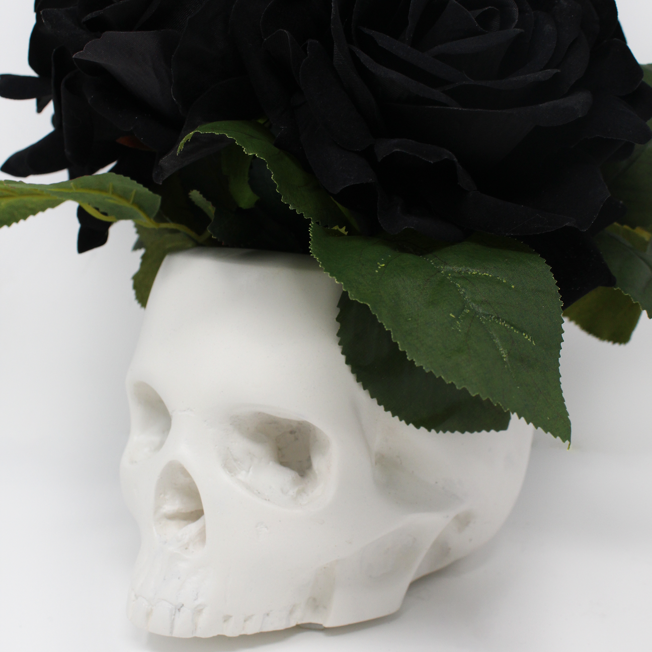 Morticia Flowerhead - Black Velvet Roses