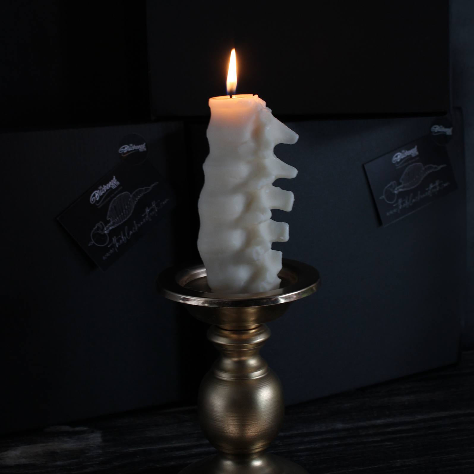 Anatomy Candles - Gift Box